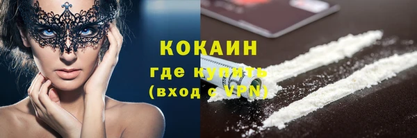дмт Пестово