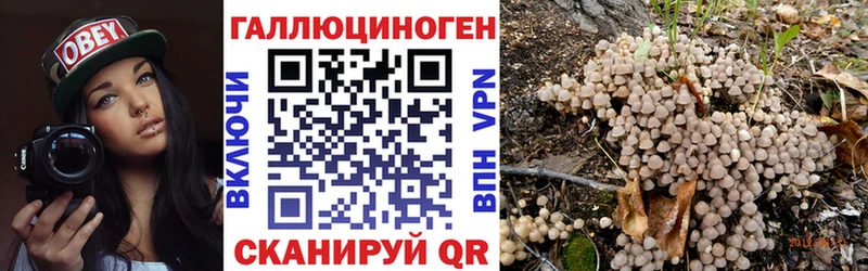 Галлюциногенные грибы Psilocybine cubensis  kraken tor  Орёл 
